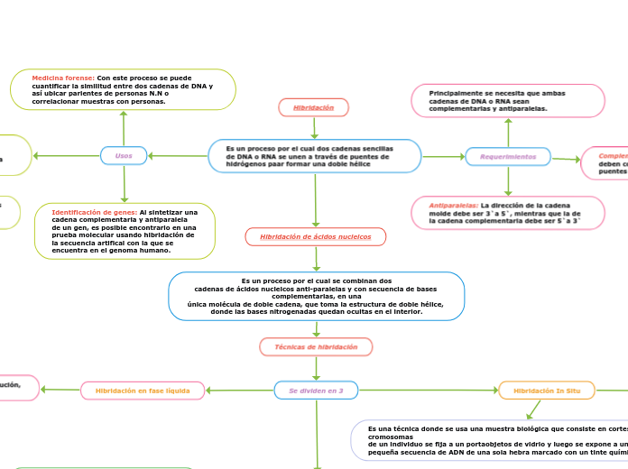 Hibridación de ácidos nucleicos