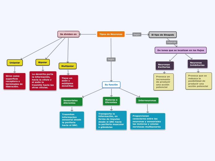 Tipos de Neuronas