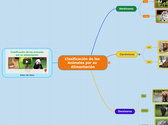 Clasificación de los Animales por su Alimentación