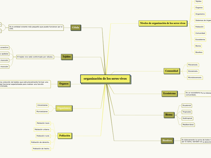 organización de los seres vivos