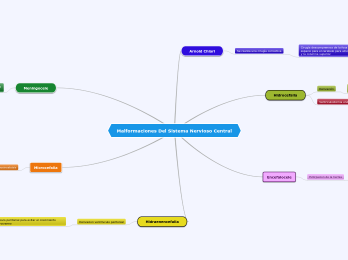 Malformaciones Del Sistema Nervioso Central