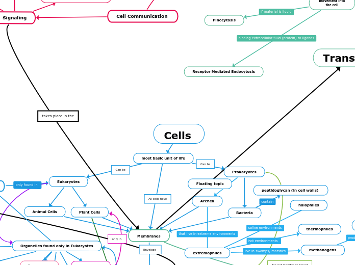 Biology Concept Map