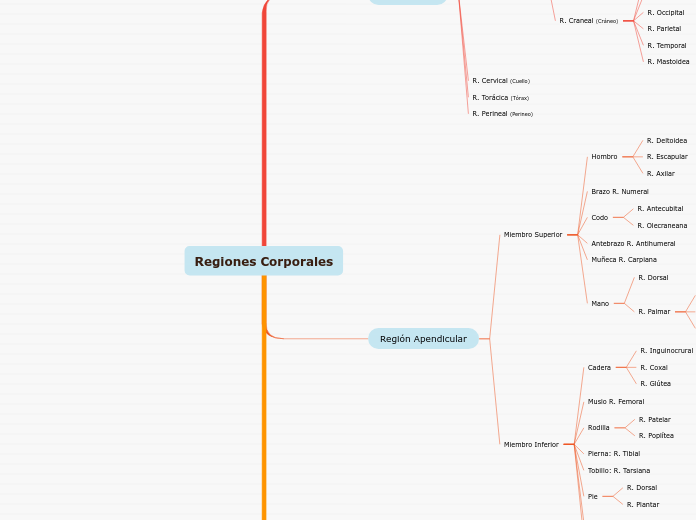 Regiones Corporales