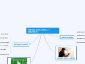 PRUEBA UNILATERAL Y BILATERAL