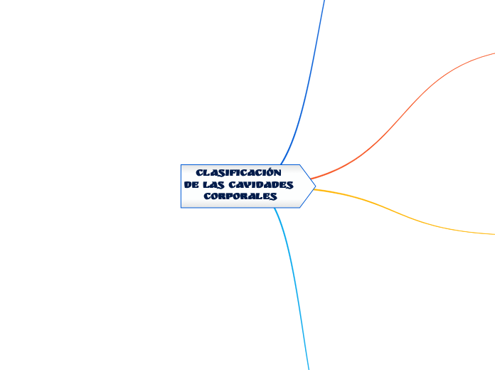 CLASIFICACIÓN 
DE LAS CAVIDADES 
CORPORALES