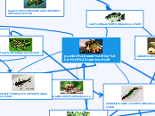 food web