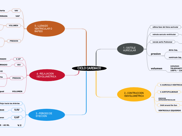 CICLO CARDIACO