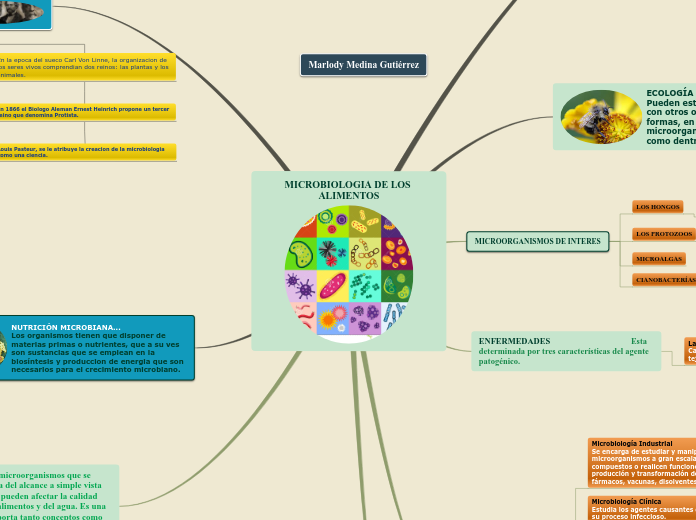 MICROBIOLOGIA DE LOS ALIMENTOS