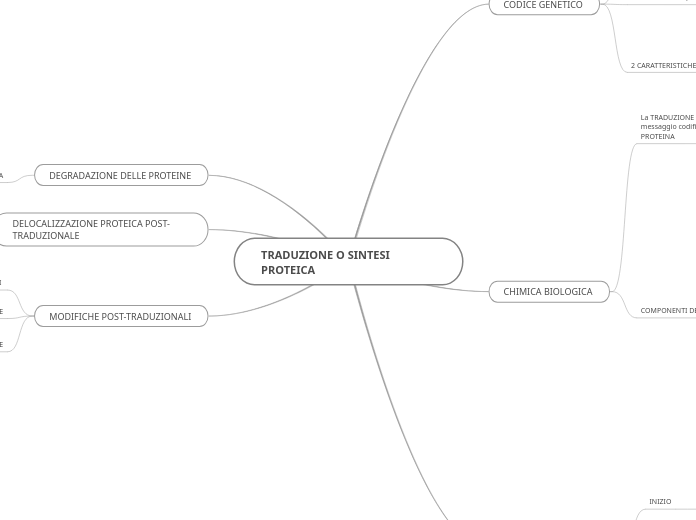 TRADUZIONE O SINTESI PROTEICA -