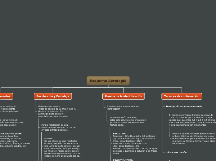 Organigrama arbol