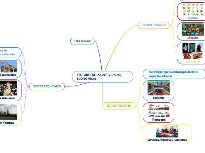 SECTORES DE LAS ACTIVIDADES ECONOMICAS