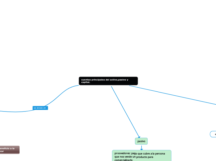 cuentas principales del activo,pasivo y capital.