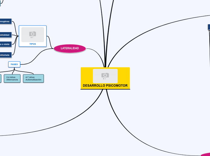 DESARROLLO PSICOMOTOR sin fotos