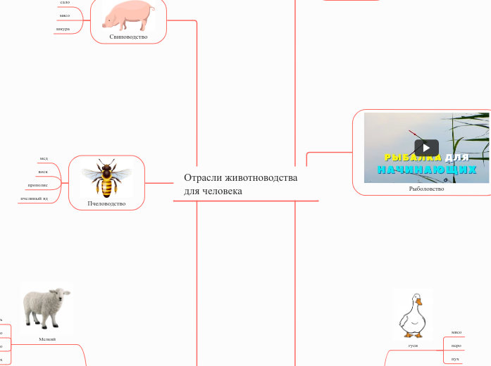 Отрасли животноводства для человека
