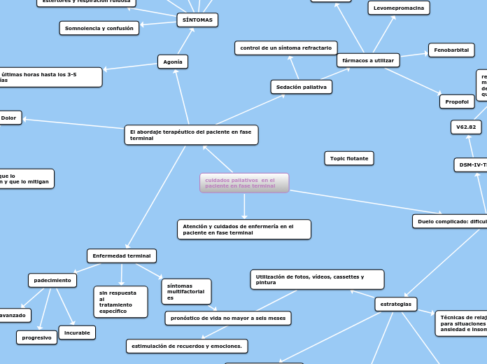 cuidados paliativos  en el paciente en fase terminal