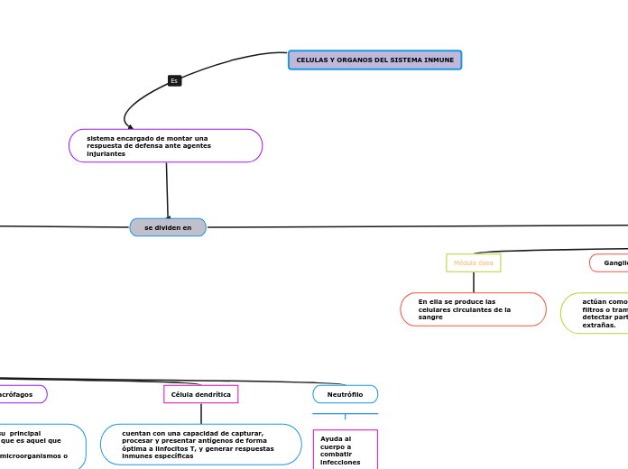 CELULAS Y ORGANOS DEL SISTEMA INMUNE