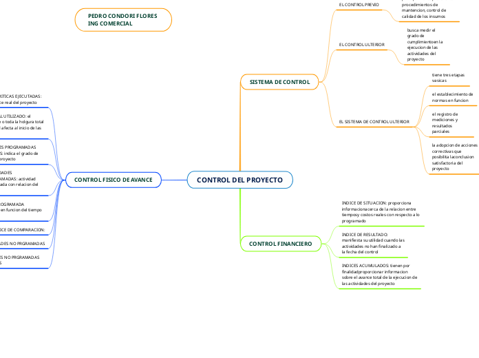 CONTROL DEL PROYECTO