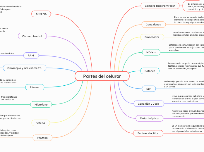 Partes del celurar