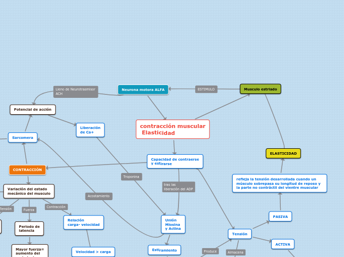 contracción muscular
 Elasticidad