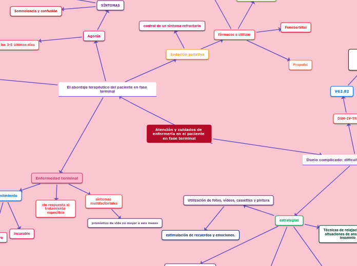 Atención y cuidados de enfermería en el paciente en fase terminal