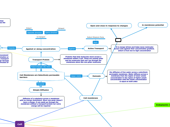 Final Concept Map