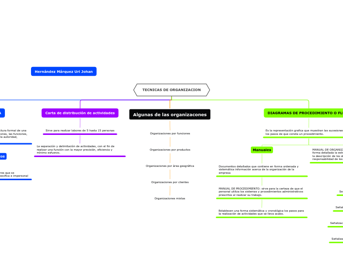 TECNICAS DE ORGANIZACION