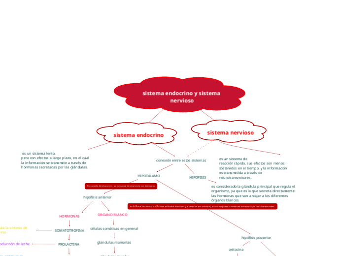 sistema endocrino y sistema nervioso