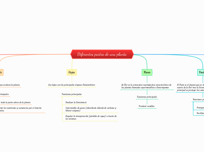 Diferentes partes de una planta