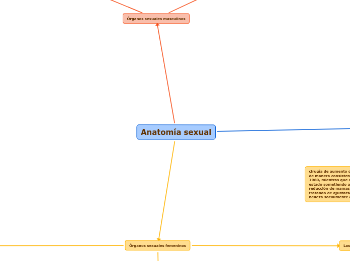 Anatomía sexual