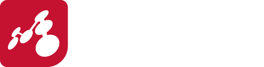 Логотипы Mindomo на темном фоне